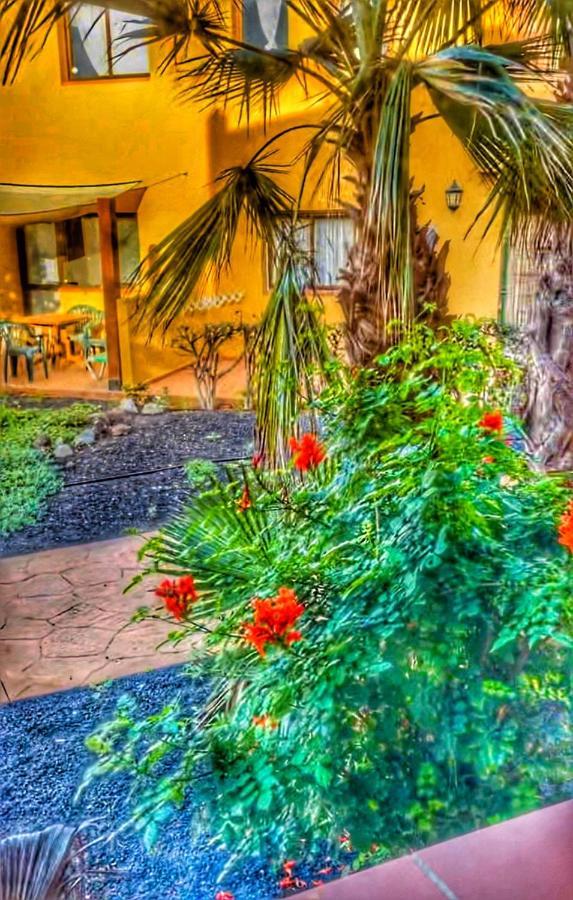 Paradise House Corralejo Exterior photo